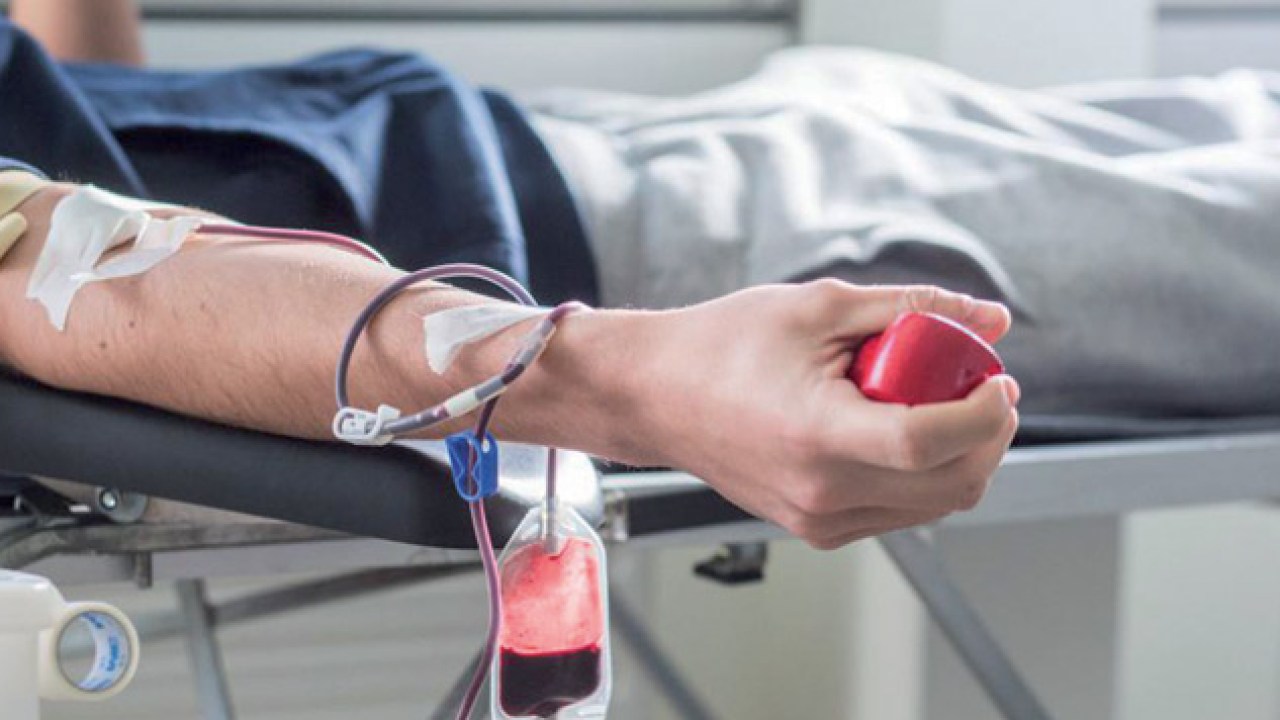 Guide complet pour un don de sang réussi : conseils avant et après