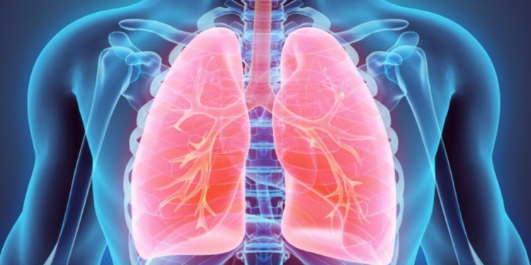 Questions Fréquentes  sur l’Hypertension Pulmonaire (HTP)