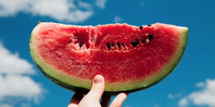 !البطيخ الأحمر: فاكهة غنية بالمذاق والفوائد