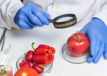 Conseils pour la sécurité alimentaire en été