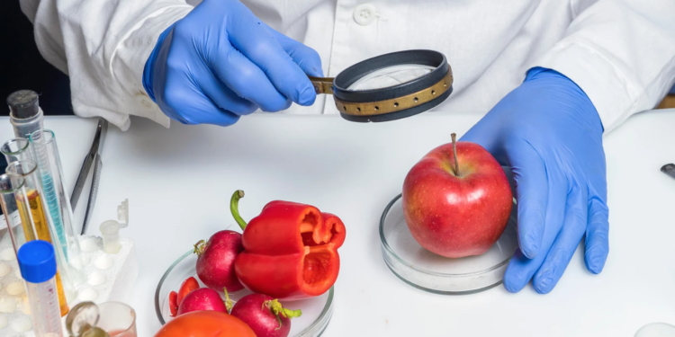 Conseils pour la sécurité alimentaire en été