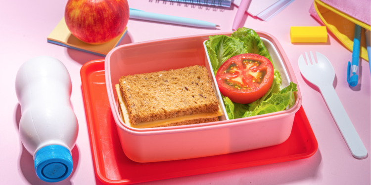 Le Panier Repas de l’Enfant : Guide pour une Alimentation Scolaire Saine et Équilibrée