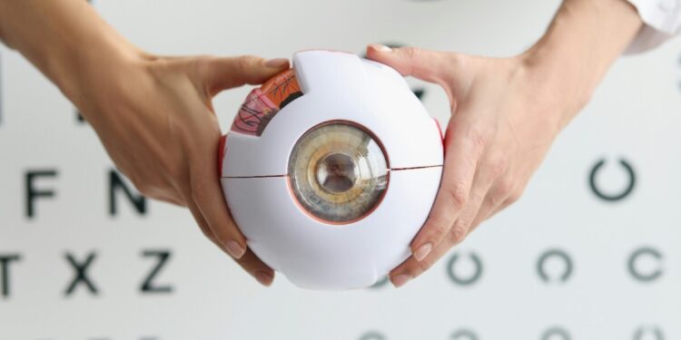 Un implant oculaire redonne la vue à des personnes malvoyantes souffrant de DMLA