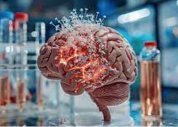 Découverte de microplastiques dans le cerveau humain : une alerte sanitaire préoccupante