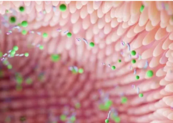 Des nuits agitées ? Votre flore intestinale pourrait en être la cause !